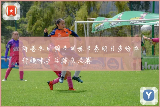 海港冬训调节训练节奏明日多哈举行趣味乒乓球交流赛