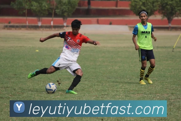 乐鱼体育服务体系